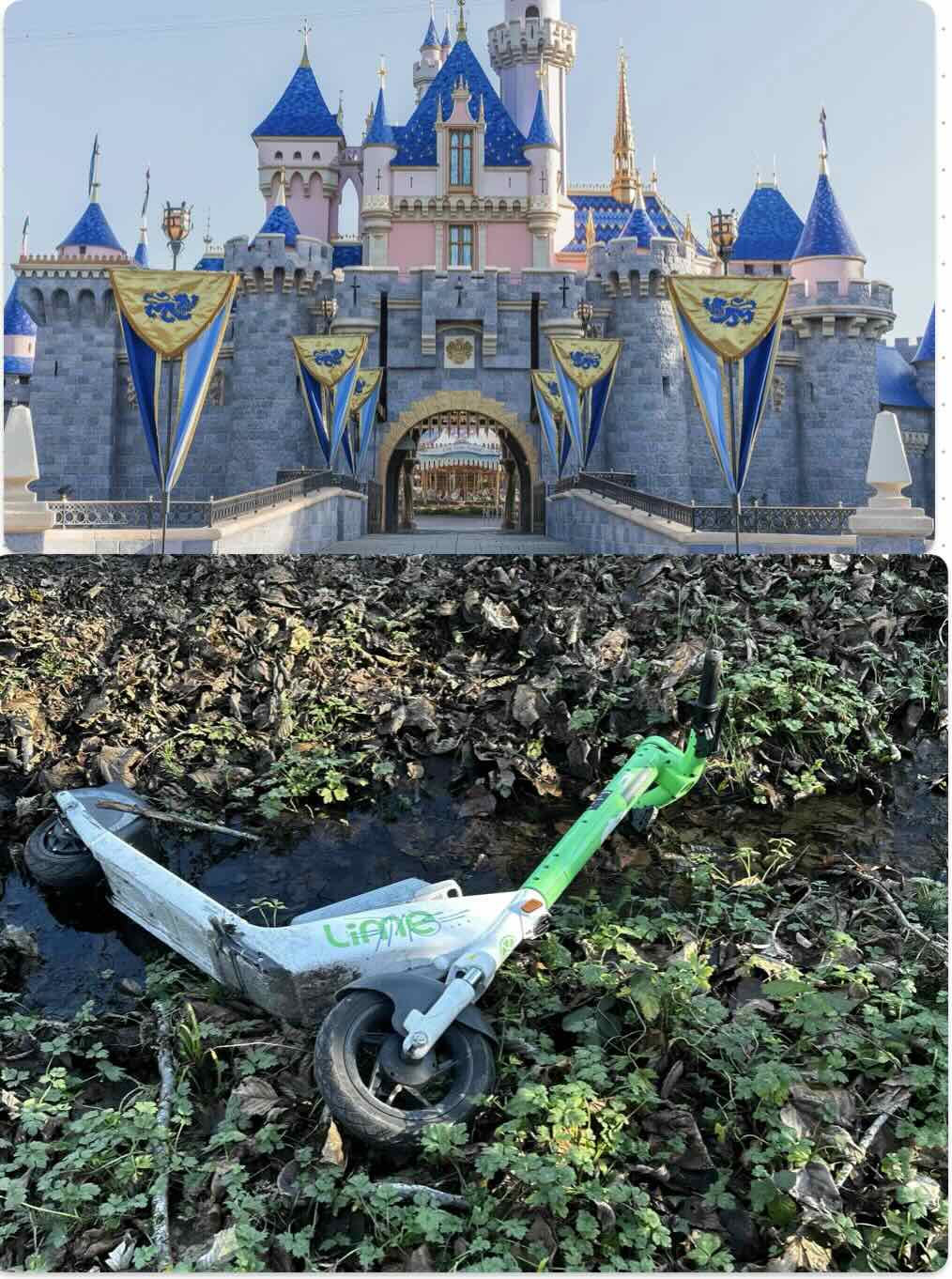 Palace and damaged scooter.