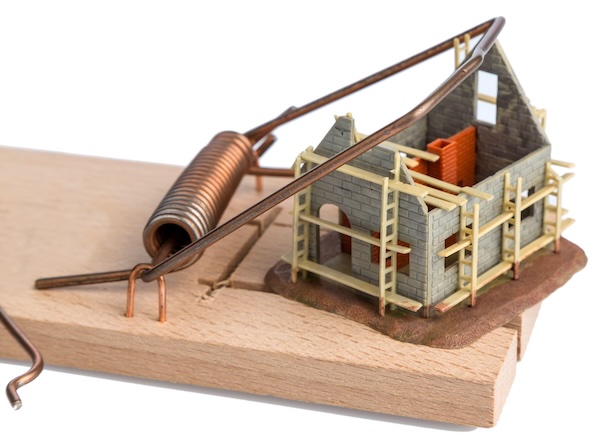 House model in mousetrap.