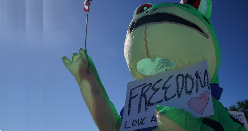 Protester in frog costume.