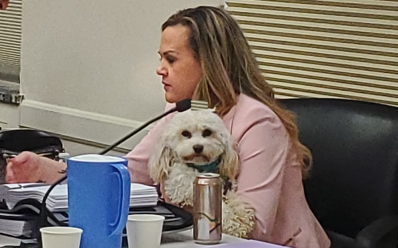 Rep. Tarra Simmons w/ doggie.