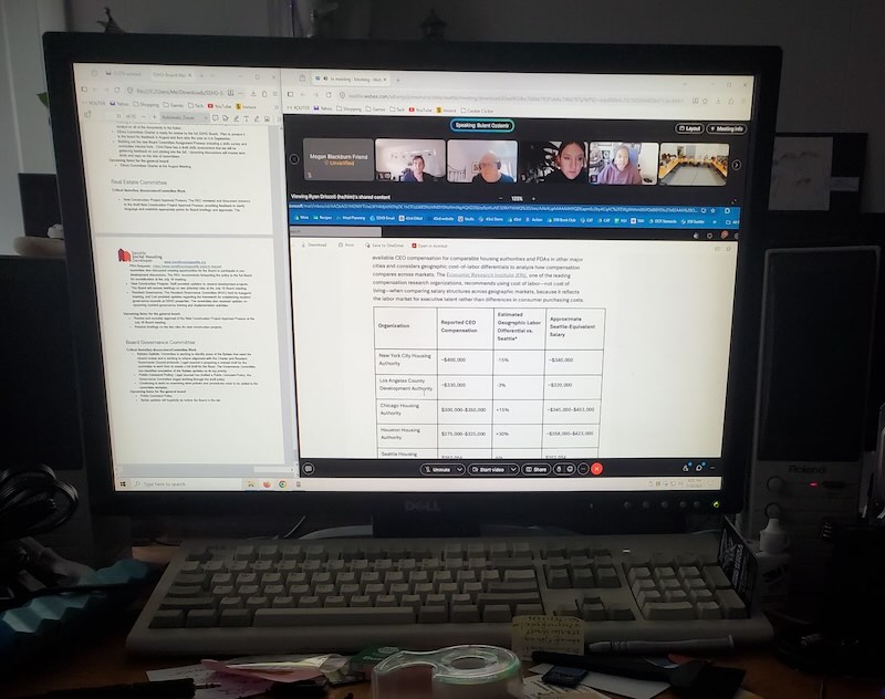 Screenshot of meeting.